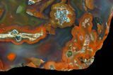 Beautiful Condor Agate From Argentina - Cut/Polished Face #79474-1